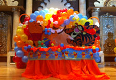 Birthday party organisers